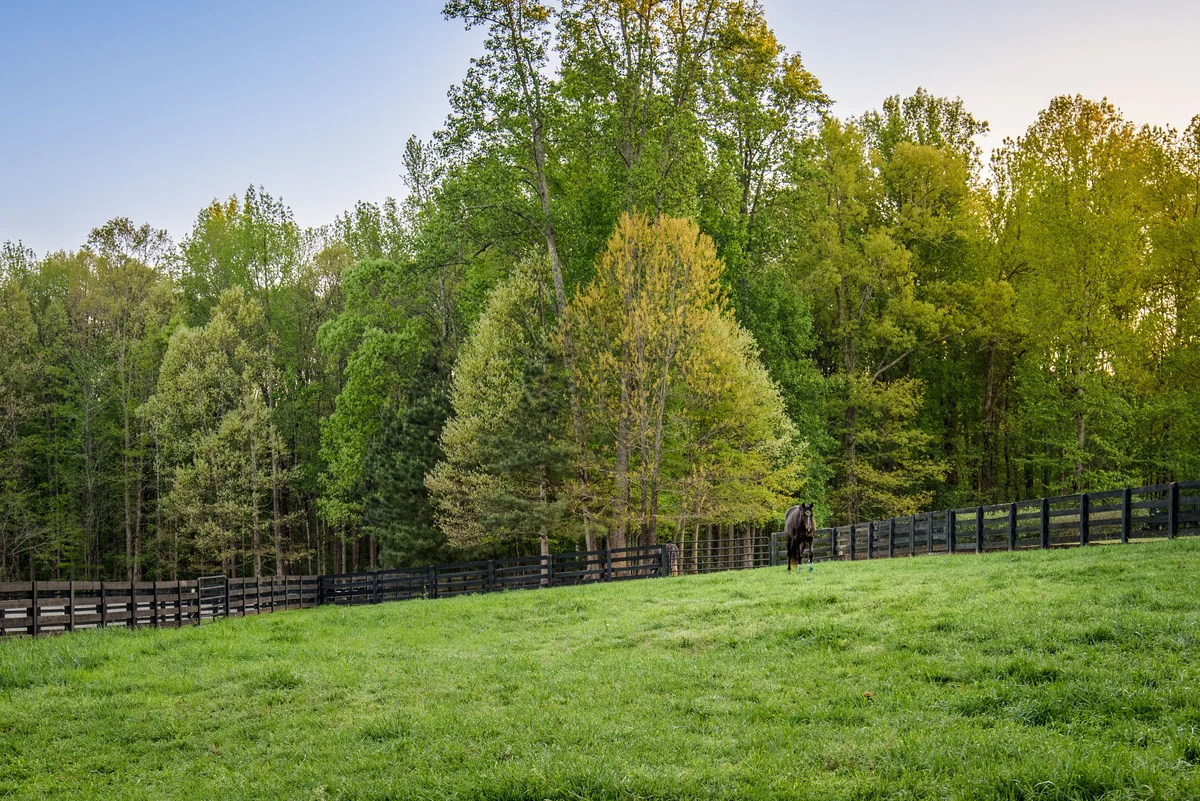 Green fenced pasture at McBriar Farm