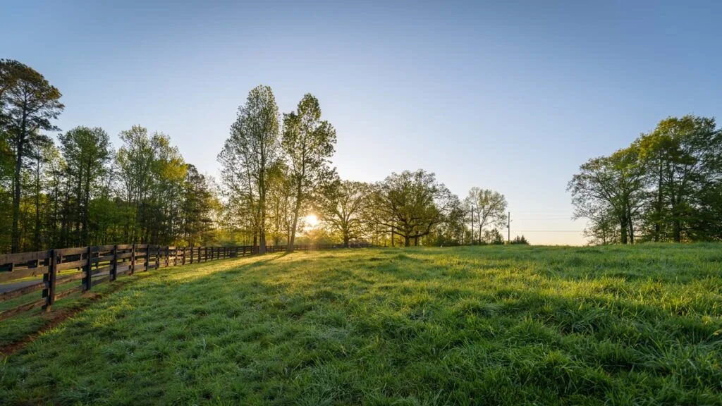 Green pasture and four-board fencing at McBriar Farm