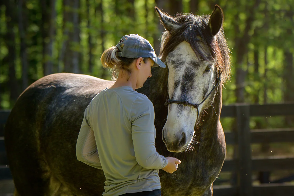 Horse and handler sharing a quiet moment at McBriar Farm
