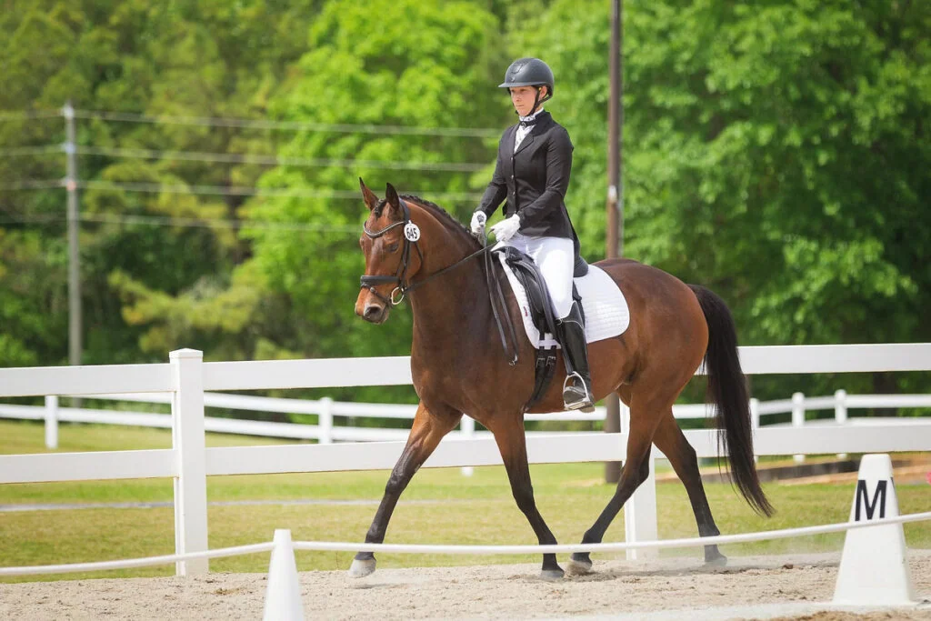 Equestrian and horse working together
